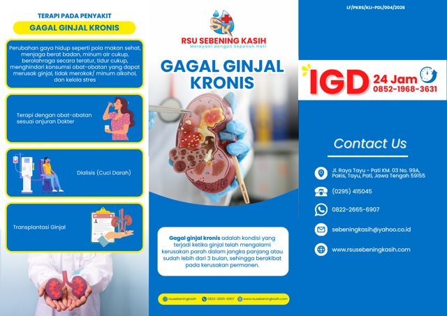 Gagal Ginjal Kronis (CKD)
