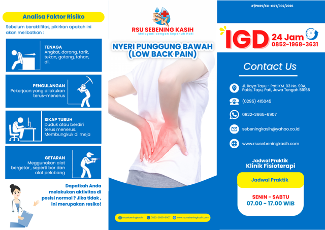 Low Back Pain (Nyeri Punggung Bawah)