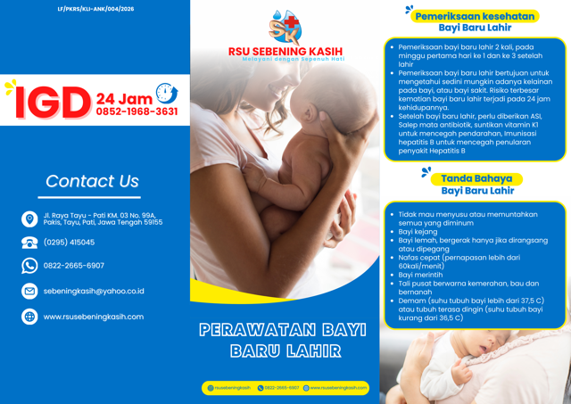 Panduan Perawatan Bayi Baru Lahir